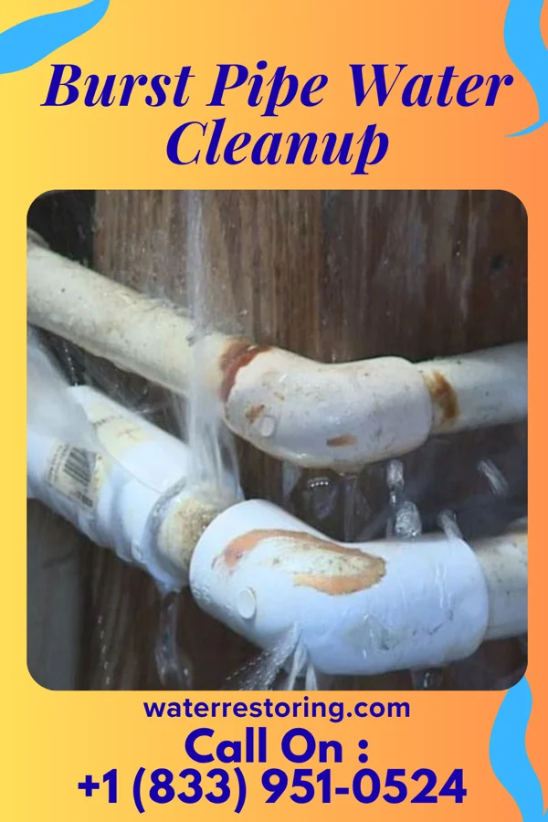Burst Pipe Water Cleanup in Kanauga, OH