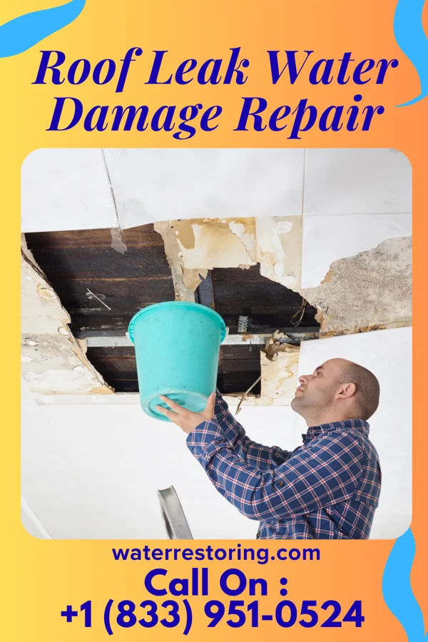 Roof Leak Water Damage Repair in Kanauga, OH