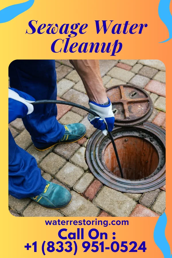 Sewage Water Cleanup in Kanauga, OH